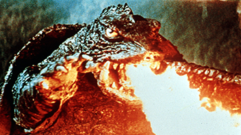 宇宙怪獣ガメラ