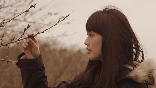 映画「桜並木の満開の下に」