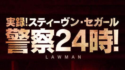 実録！スティーヴン・セガール 警察24時！