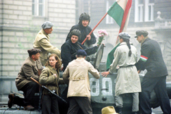 ジェイ・シネカノン シアター「君の涙ドナウに流れ ハンガリー1956」