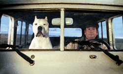 ジェイ・シネカノン シアター「ボンボン」