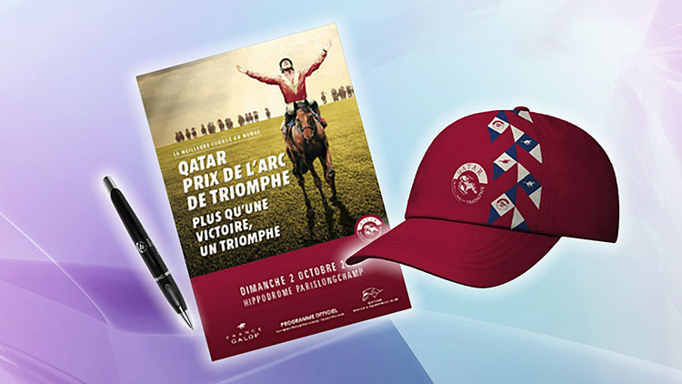 Bs11 番組プレゼント情報 Bs11 イレブン いつでも無料放送