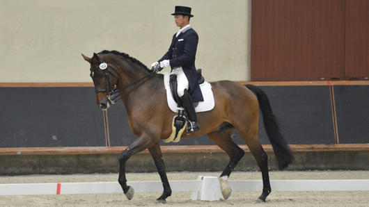 第67回全日本馬場馬術大会2015PartⅠ～頂点へ駆ける！気品あふれる人馬一体の妙技～