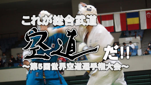 これが総合武道・空道だ！！ ～第5回世界空道選手権大会～