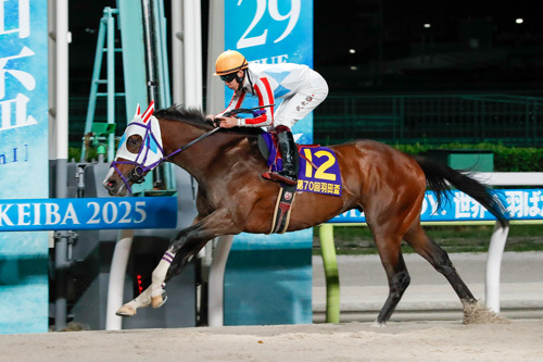 2025 羽田盃 ナチュラルライズ