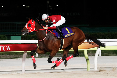 2024 ジャパンダートクラシック フォーエバーヤング