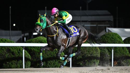 2024 JBCクラシック（ウィルソンテソーロ）