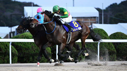 2024 JBCスプリント（タガノビューティー）