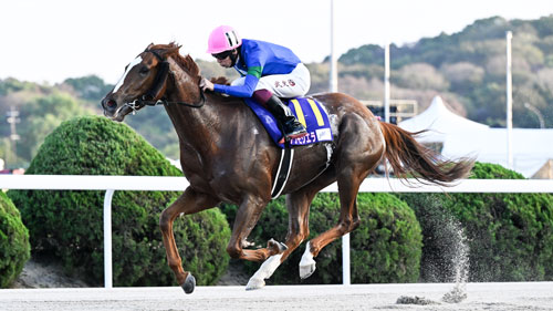 2024 JBCレディスクラシック（アンモシエラ）