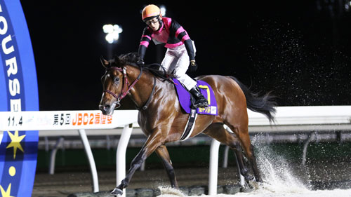 2024 JBC2歳優駿（ソルジャーフィルド）