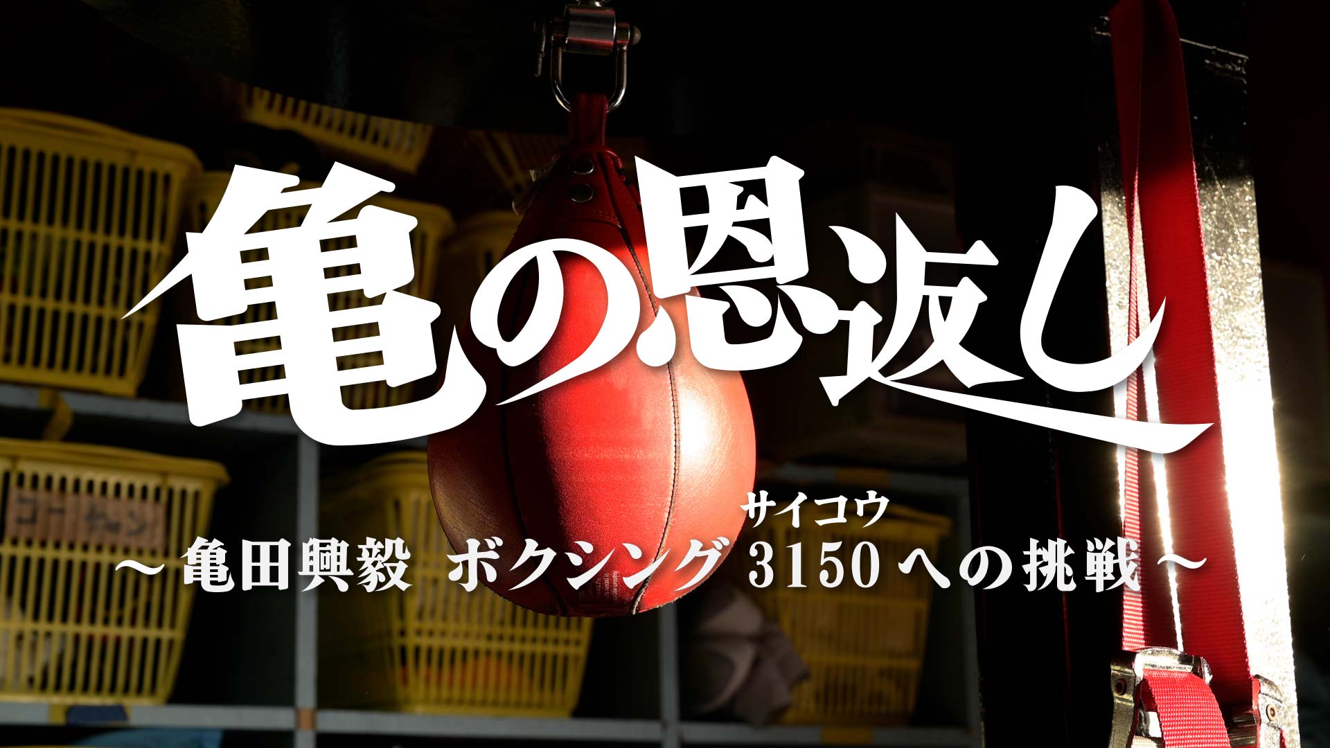 亀の恩返し～亀田興毅 ボクシング3150（サイコウ）への挑戦～