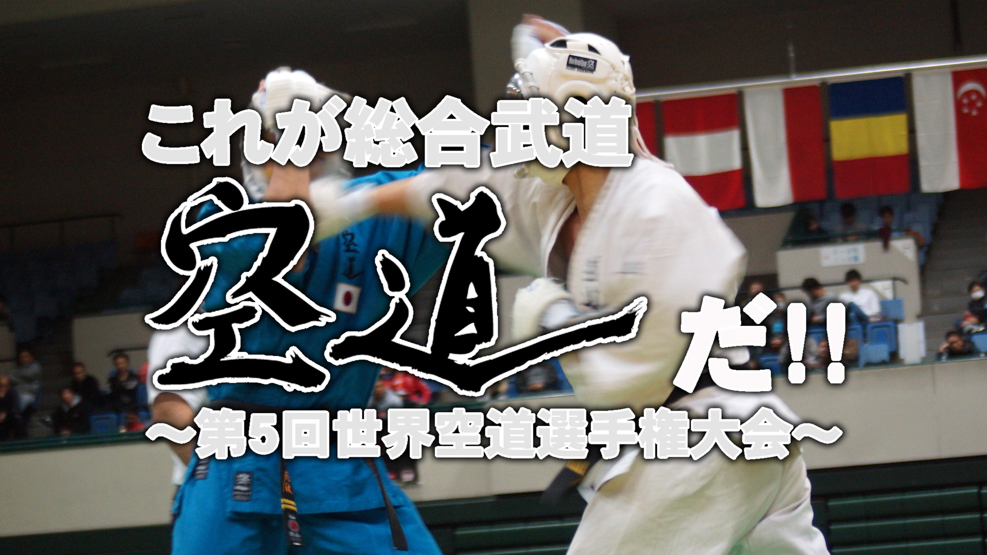 これが総合武道・空道だ！！ ～第5回世界空道選手権大会～