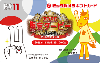 番組オリジナルビックカメラギフトカード