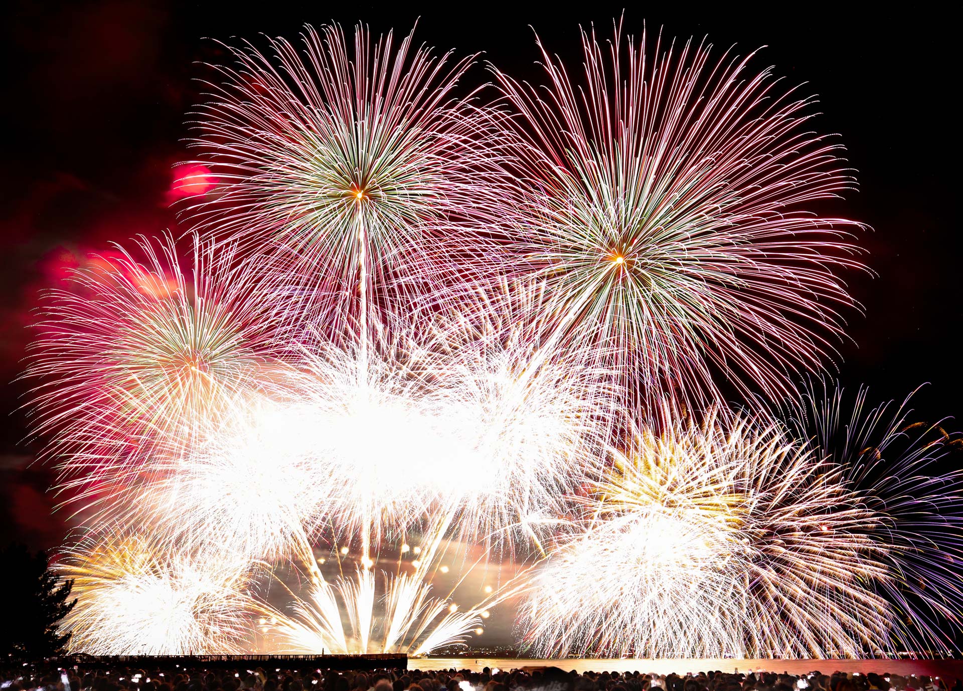 びわ湖大花火大会①