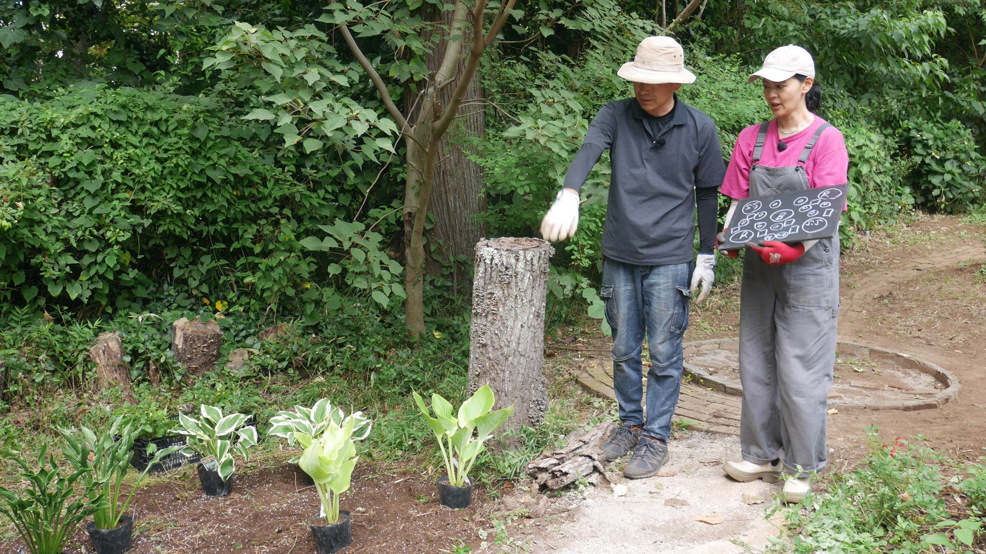 黒谷友香、お庭つくります