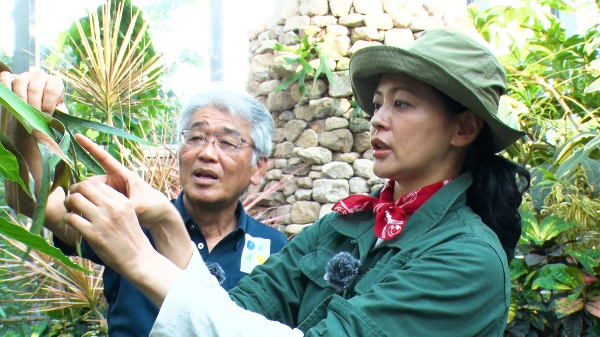 『黒谷友香、お庭つくります』1時間スペシャル①