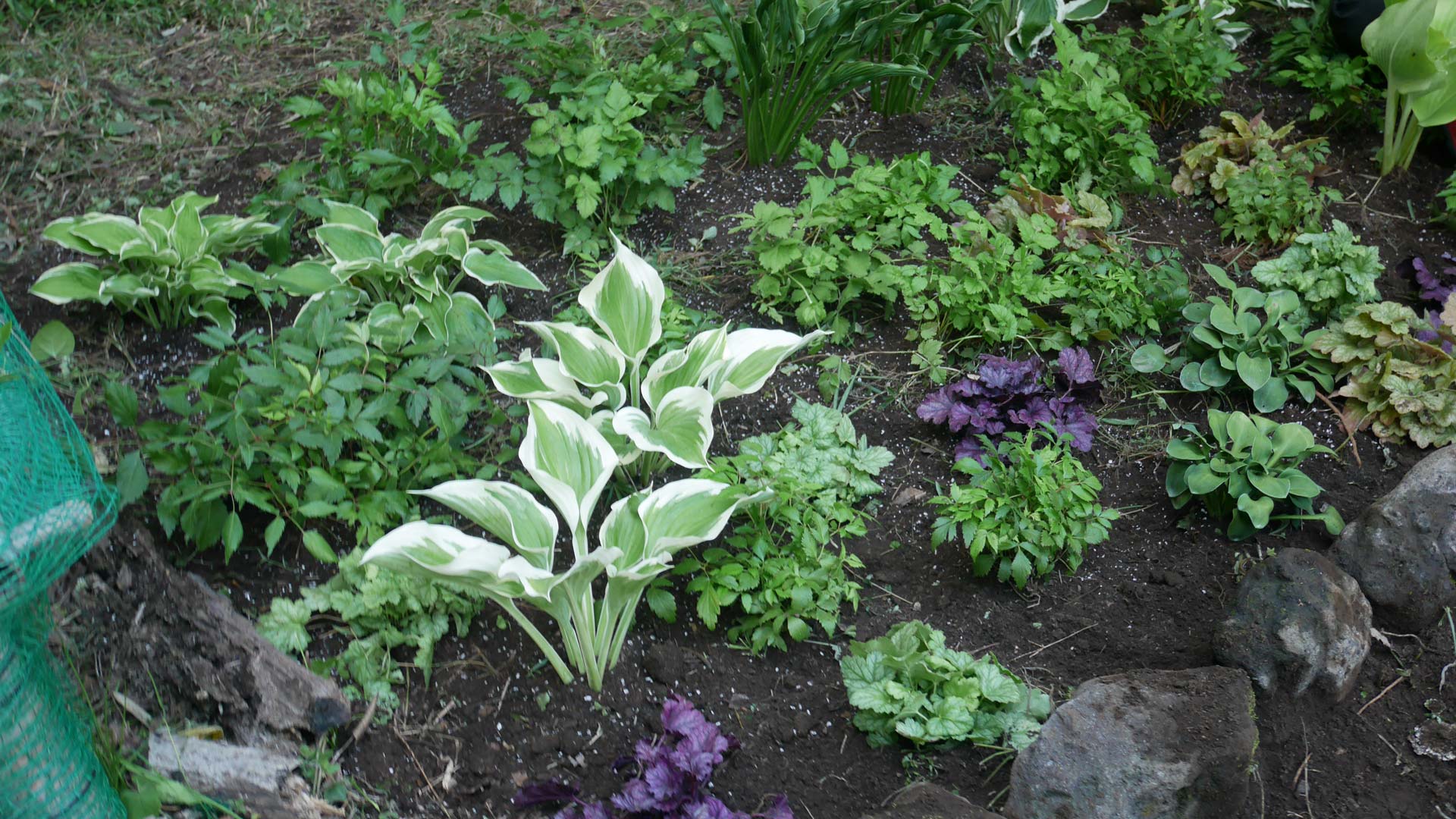 『黒谷友香、お庭つくります』1時間スペシャル③