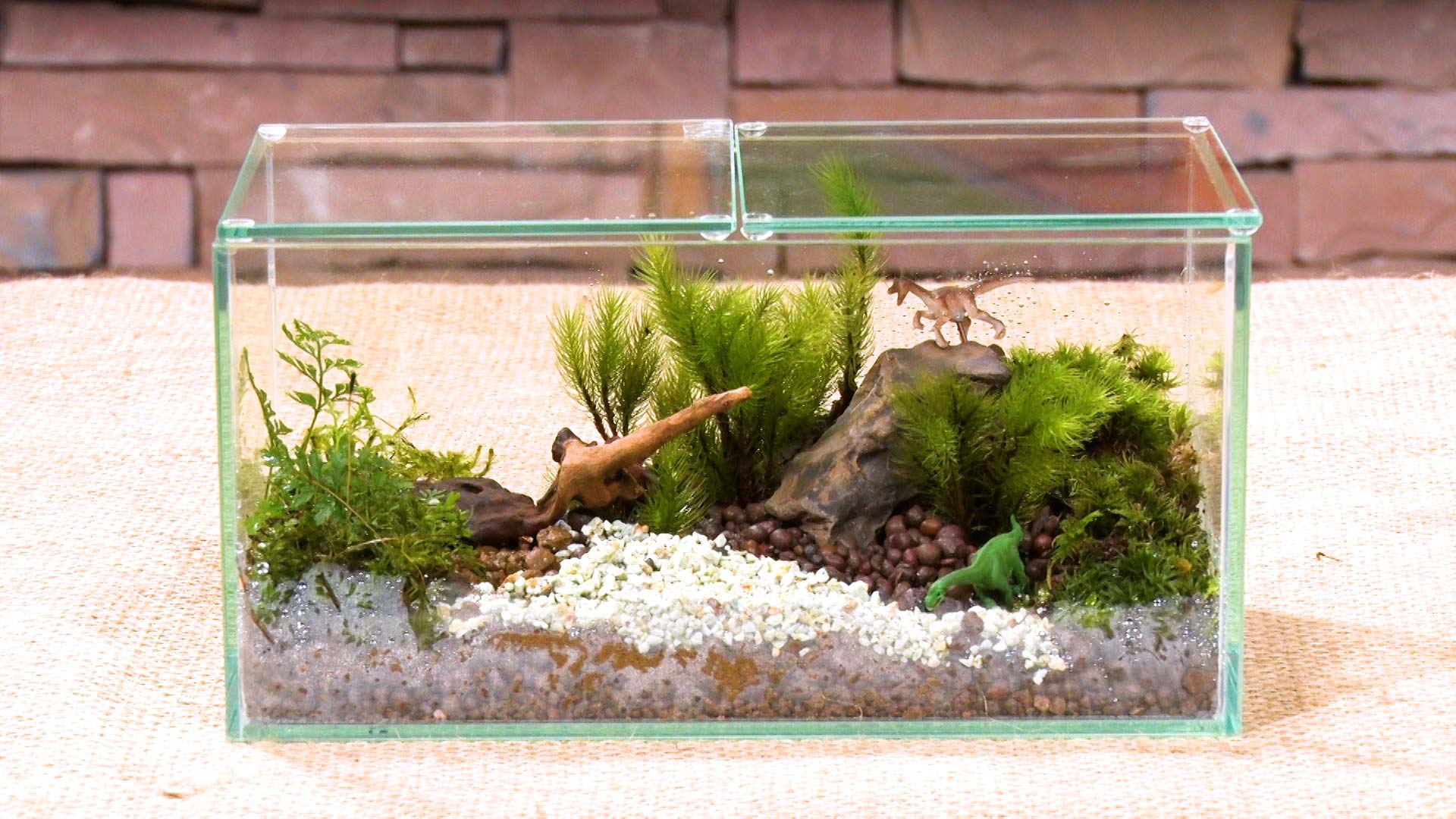 『黒谷友香、お庭つくります』1時間スペシャル⑤