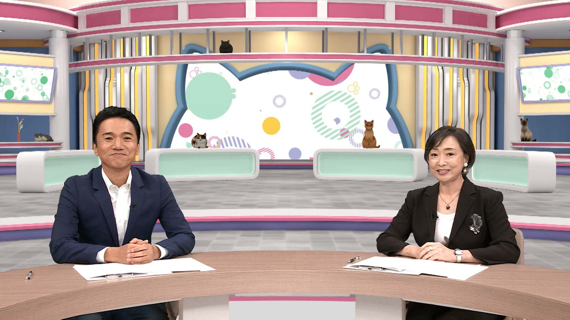 にゃなか放送局 ネコまちジャーナル②